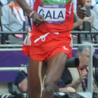 Mumin Gala