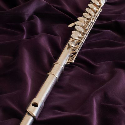 Western concert flute