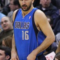 Peja Stojaković