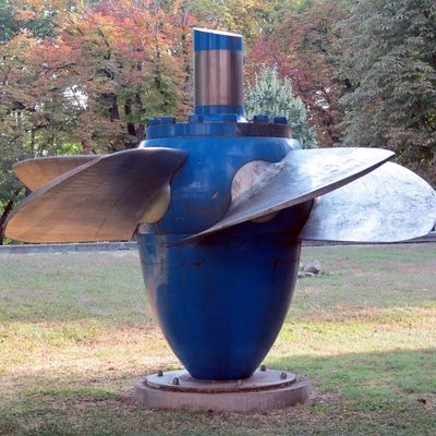 Kaplan turbine