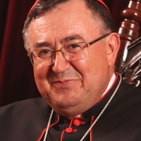 Vinko Puljić