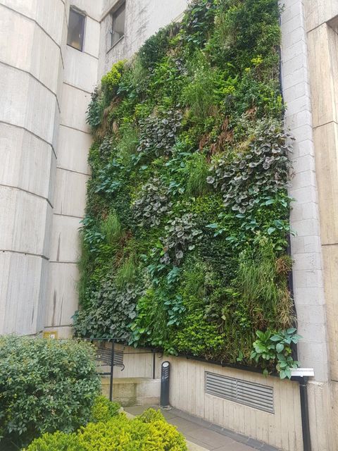 Green wall