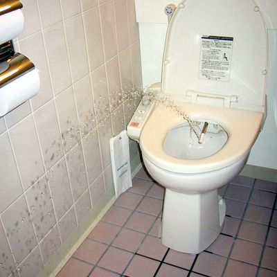 Electronic bidet