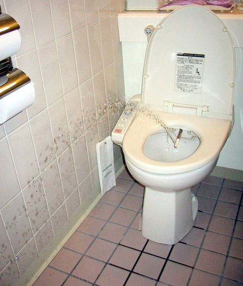 Electronic bidet