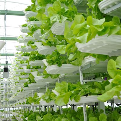 Vertical farming