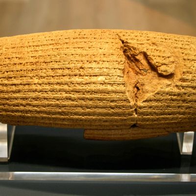 Cyrus cylinder