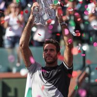 Juan Martín del Potro