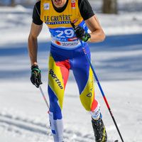 Irineu Esteve Altimiras