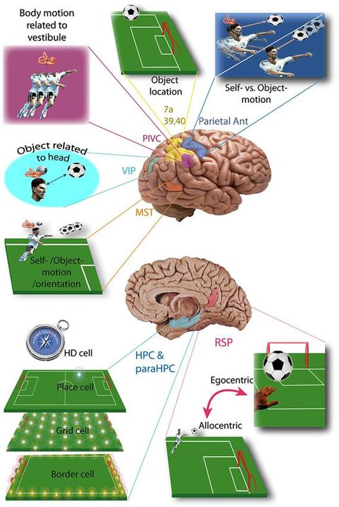 Grid neuron