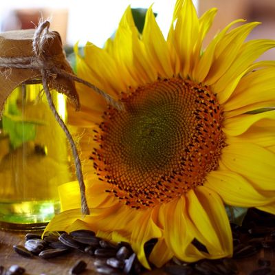 Sunflower oil
