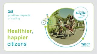 World Bicycle Day