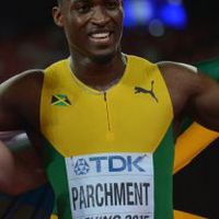 Hansle Parchment