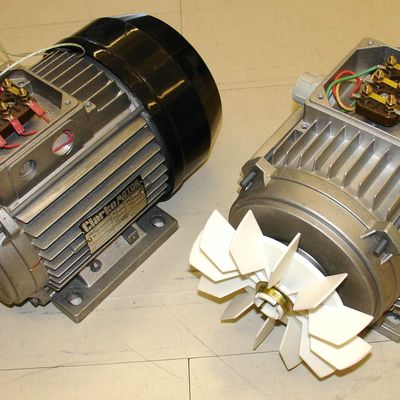 Induction motor