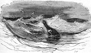 Message in a bottle