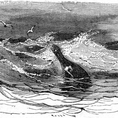 Message in a bottle