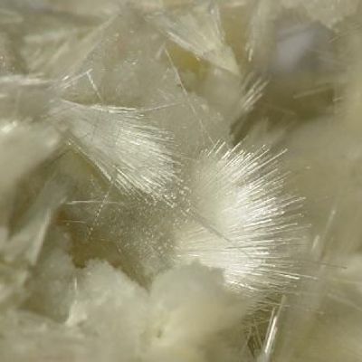 Mordenite