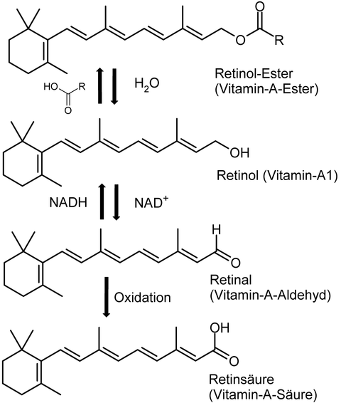 Vitamin A