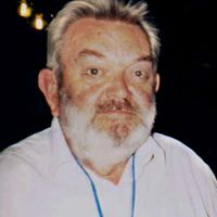 Martinus J. G. Veltman