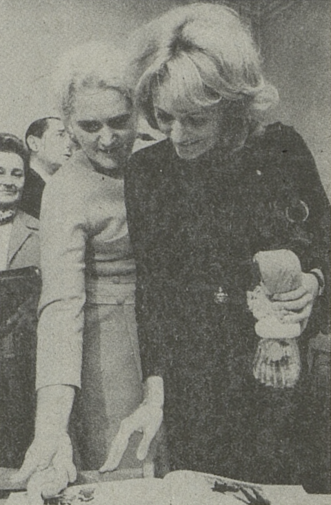 Vesna Vulović
