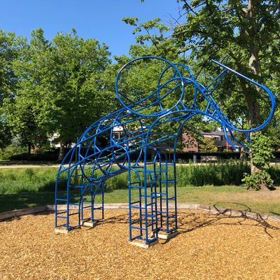 Jungle gym