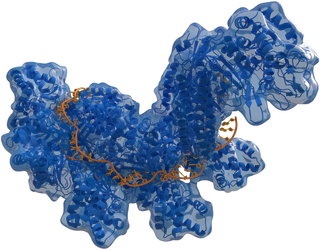 CRISPR