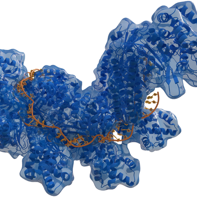 CRISPR