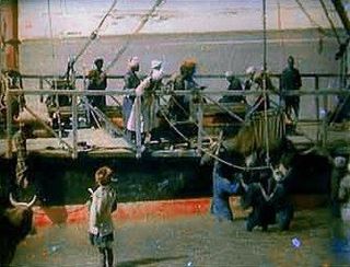 Kinemacolor
