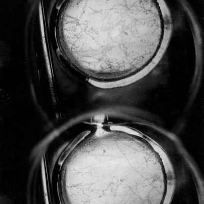 Bubble chamber