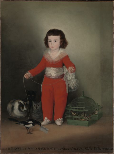 Don Manuel Osorio de Zuniga by Francisco Goya