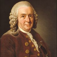 Carl Linnaeus